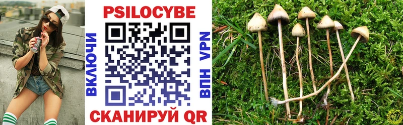 Купить где  Свирск  Псилоцибиновые грибы мицелий 