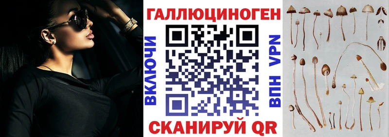Псилоцибиновые грибы Psilocybine cubensis Свирск